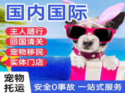 佛山沙堤空运国际宠物托运 【国
